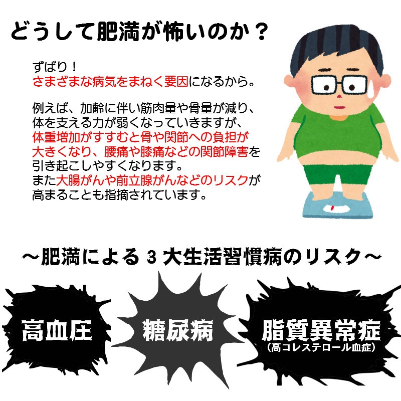 痩せる薬 ダイエット やせる 漢方 肥満 脂肪過多症 扁鵲（へんせき