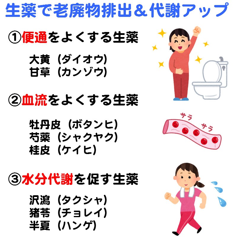 ダイエット やせる 漢方薬 肥満 脂肪燃焼 扁鵲 扁せき へんせき 90包 建林 第2類医薬品 K 46 サツマ薬局 通販 Yahoo ショッピング