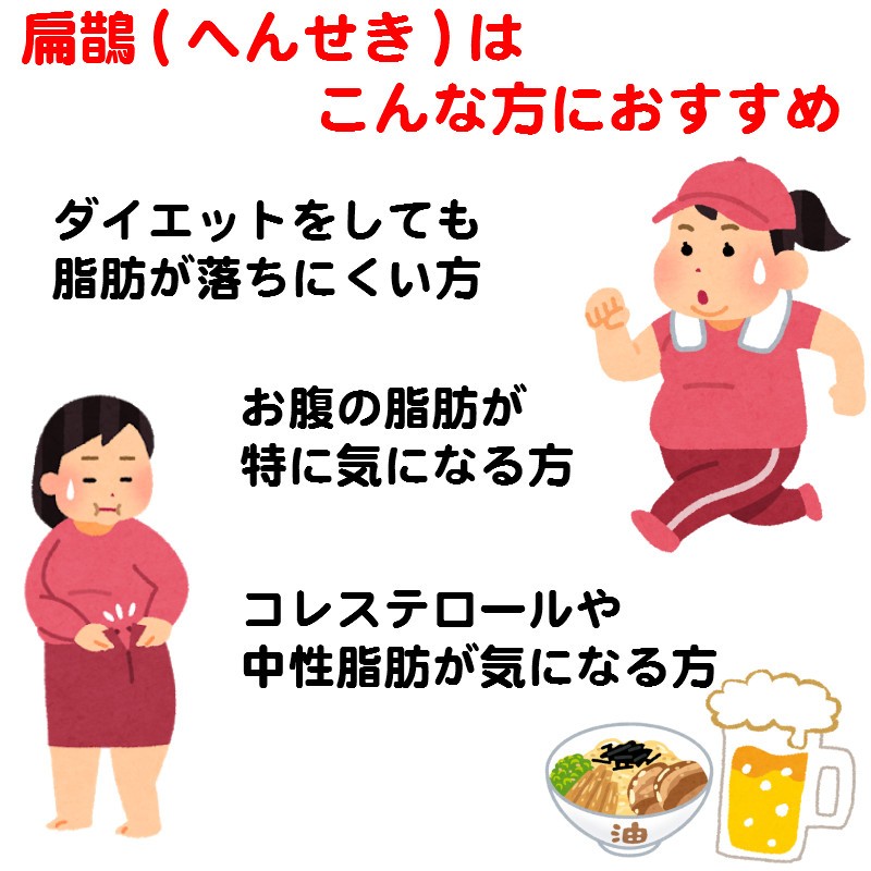 ダイエット やせる 漢方薬 肥満 脂肪燃焼 扁鵲 扁せき へんせき 90包 建林 第2類医薬品 K 46 サツマ薬局 通販 Yahoo ショッピング