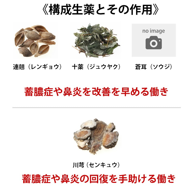 蓄膿症 副鼻腔炎 鼻炎 鼻づまり ホノミビスキン 240カプセル ホノミ