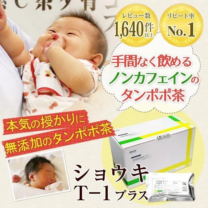 メール便送料込 妊活 タンポポ茶 ショウキT-1プラス 7包 無農薬 ノン