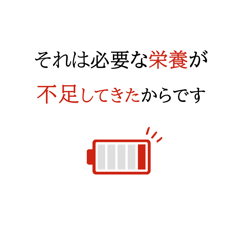 マカ サプリ スタミナ 男性 安寿薩摩丸EX（あんじゅさつまがん) 480粒×6個セット〔サツマ薬局〕 : satumagan-6set : サツマ薬局  - 通販 - Yahoo!ショッピング