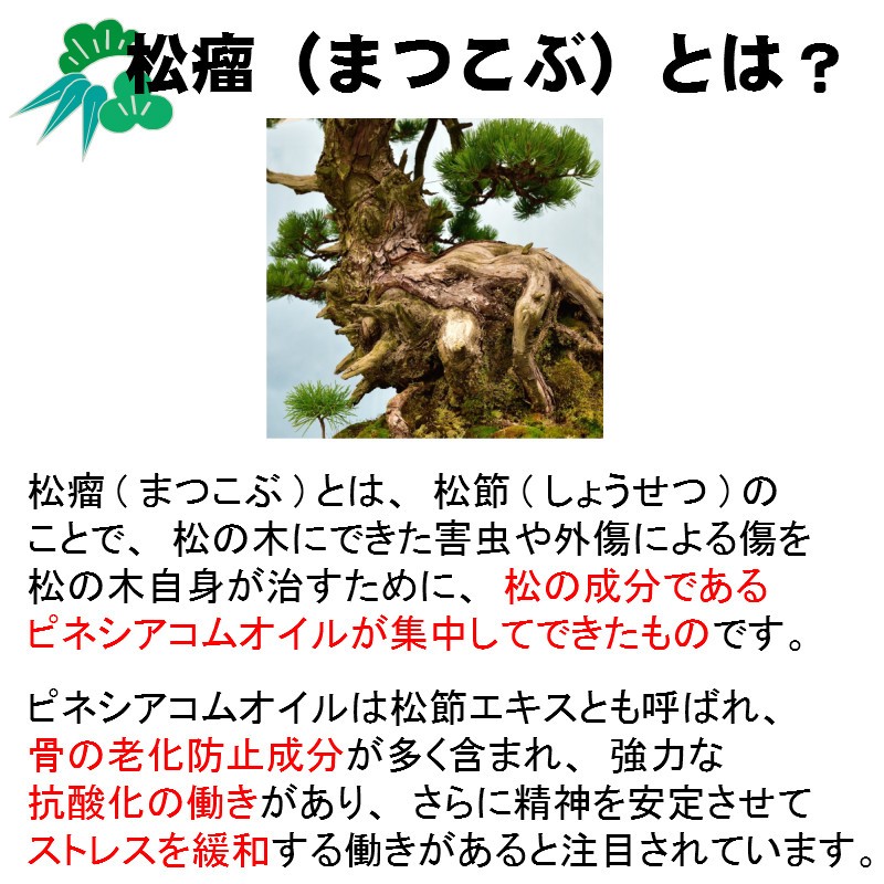 妊活 サプリ 松康泉(しょうこうせん) 100カプセル 松節エキス すっぽん 送料無料〔徳潤〕 :1422550:サツマ薬局 - 通販 -  Yahoo!ショッピング