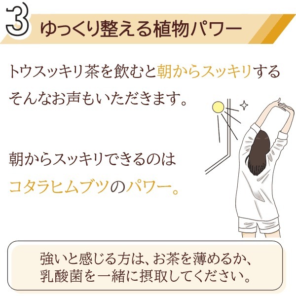 コタラヒム配合 スッキリ トウスッキリ茶 60包 健康茶 サラシア メール便送料込〔サツマ薬局〕 : 4571275467011-60dm :  サツマ薬局 - 通販 - Yahoo!ショッピング