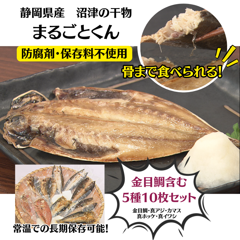 まるごとくん10枚セット