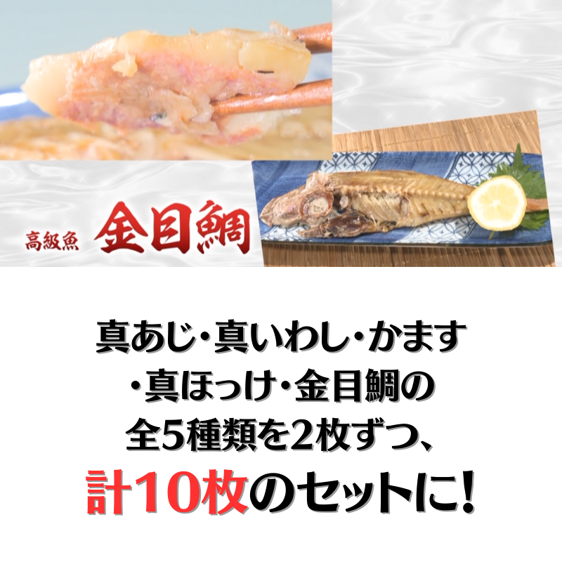 まるごとくん10枚セット