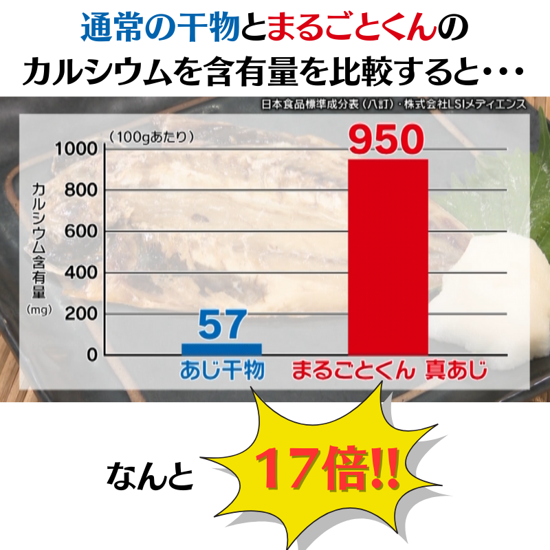 まるごとくん10枚セット