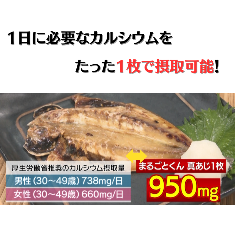 まるごとくん10枚セット