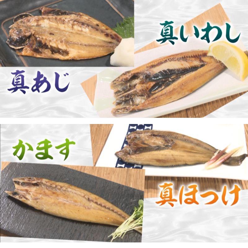まるごとくん10枚セット