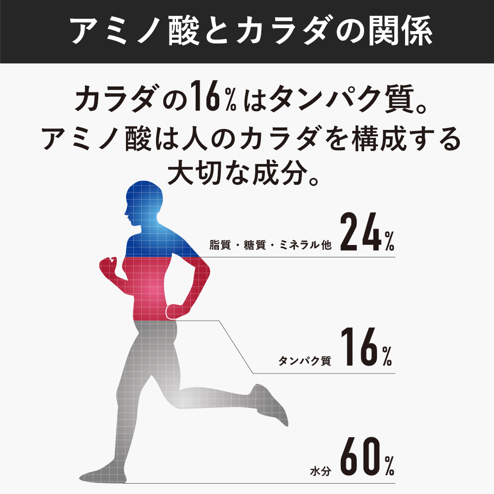 アミノ酸とカラダの関係