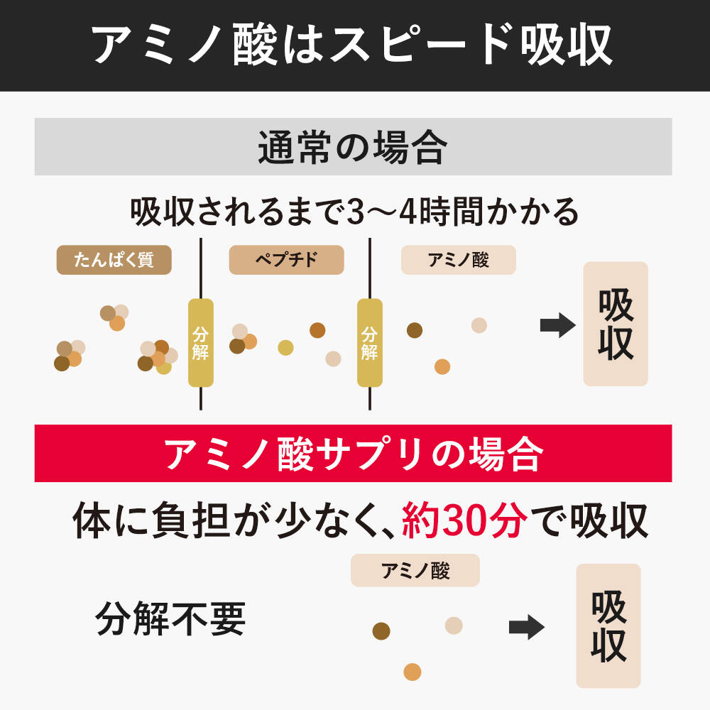 アミノ酸はスピード吸収