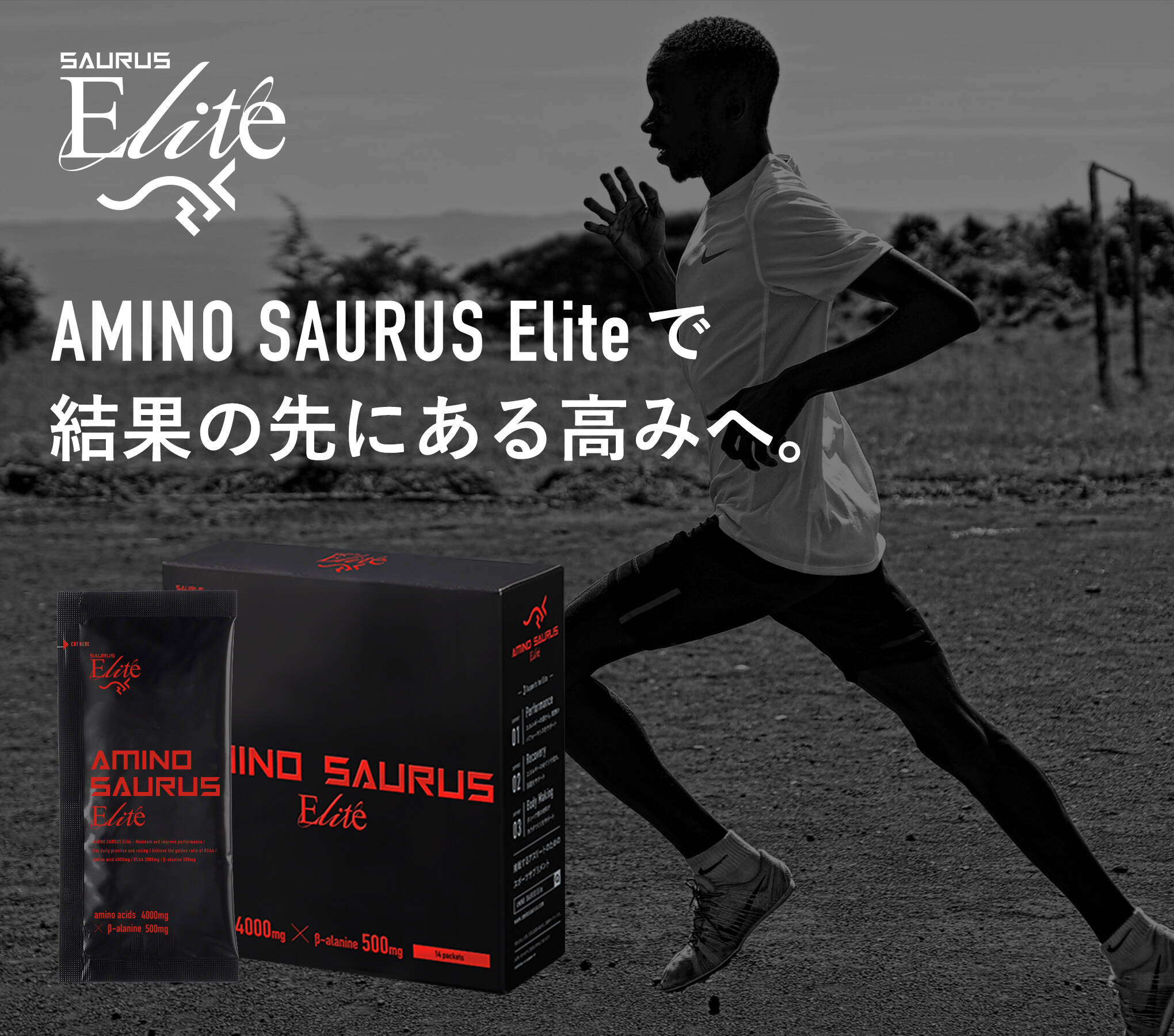 アミノサウルスエリート