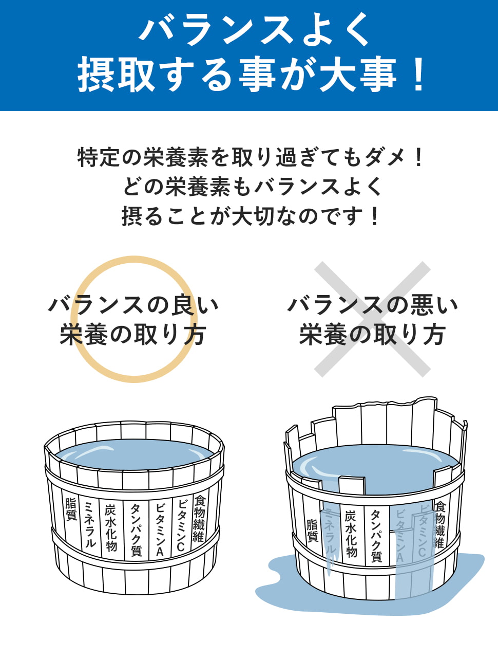 バランスよく摂取することが大事