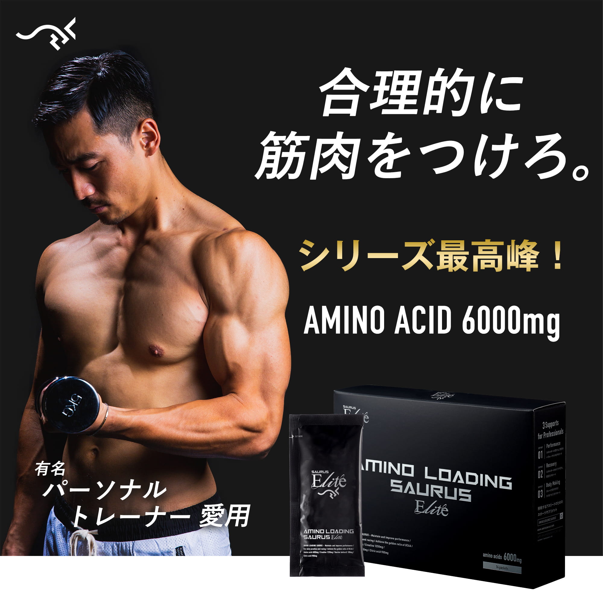 アミノローディングサウルス