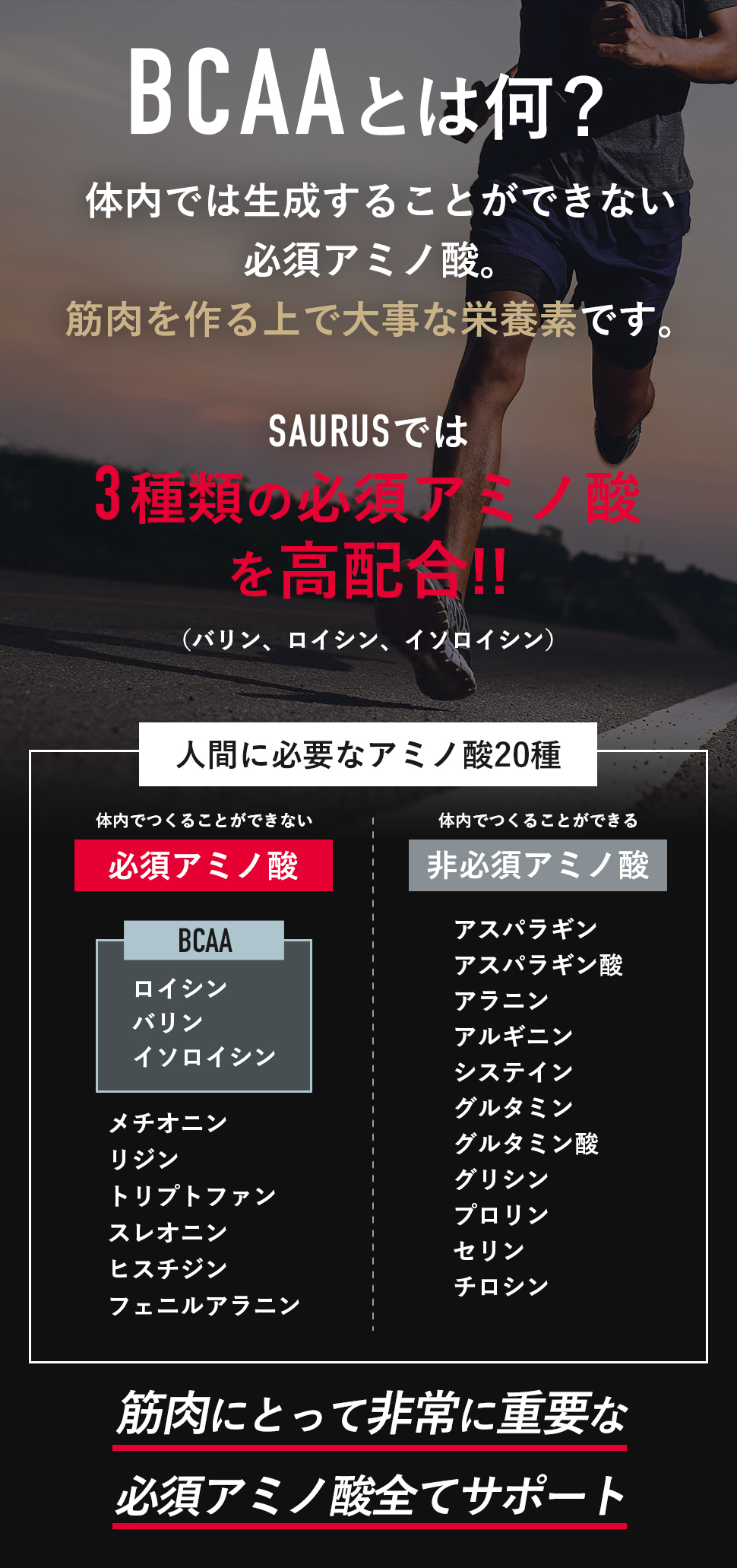 BCAAとは？