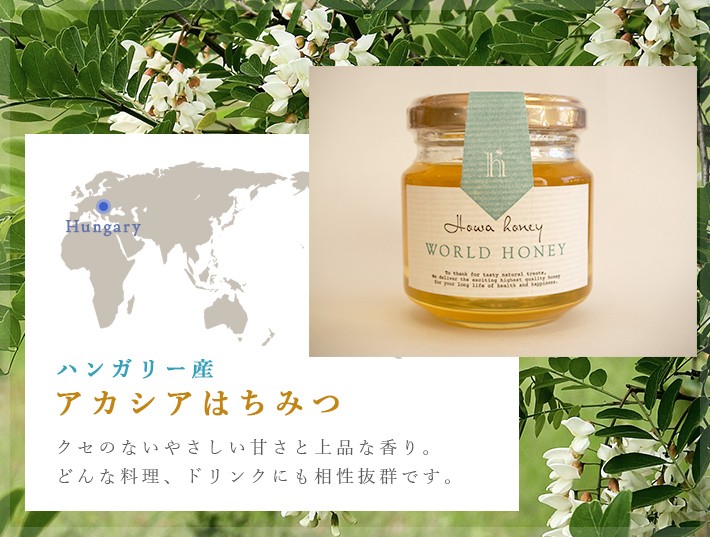蜂和産業 ハニーポットセット（ハンガリー産アカシアはちみつ