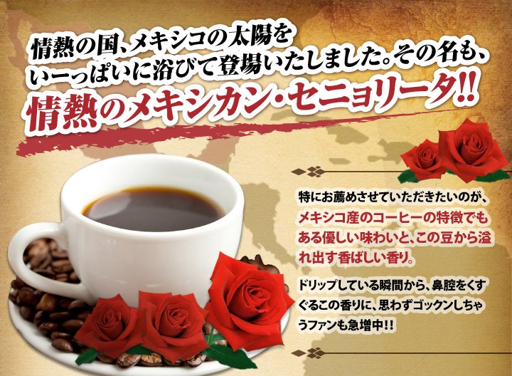 メキシコの太陽をいっぱいに浴びて登場しました！