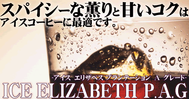 コーヒー