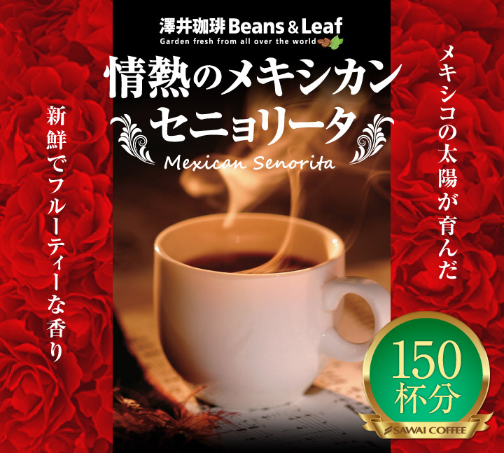 情熱のメキシカンセニョリータ