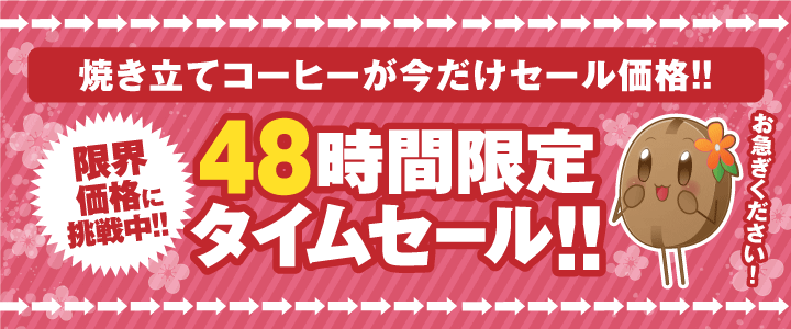 48時間限定タイムセール
