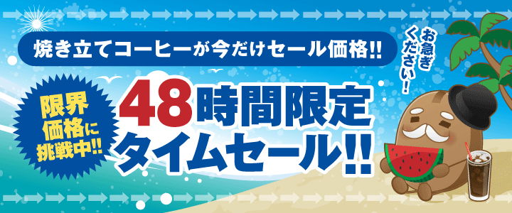 48時間限定タイムセール