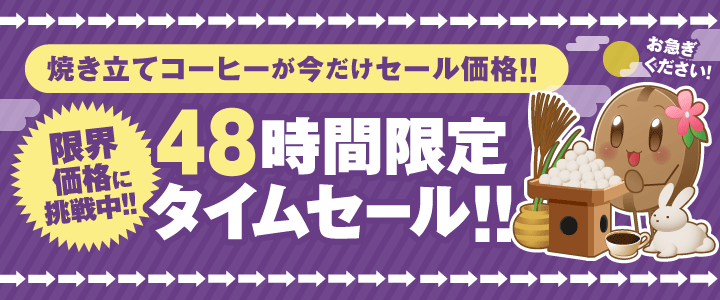 48時間限定タイムセール
