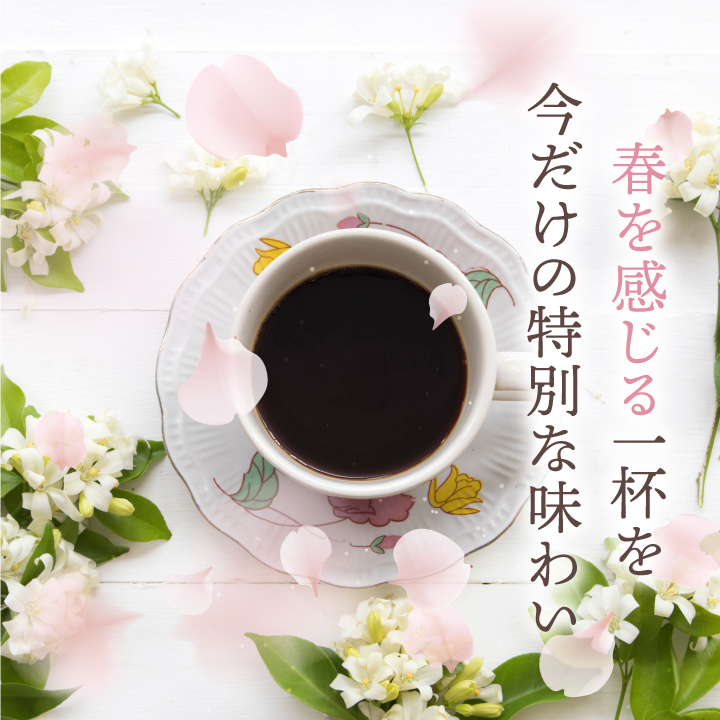 焙煎したて 澤井珈琲 コーヒー豆 1.2kg ...の詳細画像2