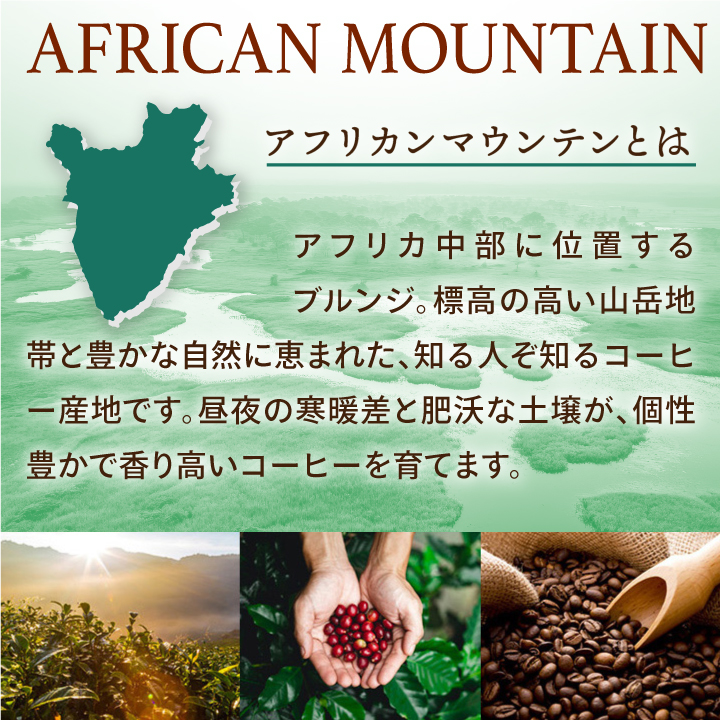 澤井珈琲 コーヒー 豆 粉 豆のまま 