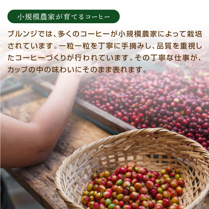 澤井珈琲 コーヒー豆 豆のまま 8袋セット 各500g みかん 澤井珈琲 コーヒー 豆 粉 豆のまま 