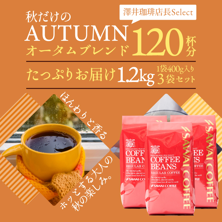 コーヒー 珈琲 福袋 コーヒー豆 珈琲豆 専門...の詳細画像3