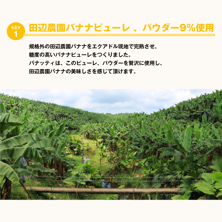 爆買 澤井珈琲 バナナナッツ Banutty ...の詳細画像4