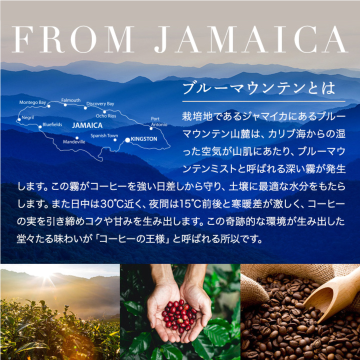 コーヒー 豆 粉 珈琲豆 豆のまま 上品な香り...の詳細画像5