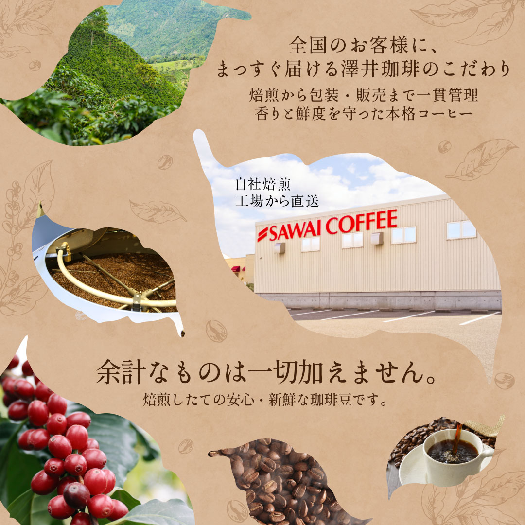 自社焙煎 工場直送 鮮度管理 品質保証