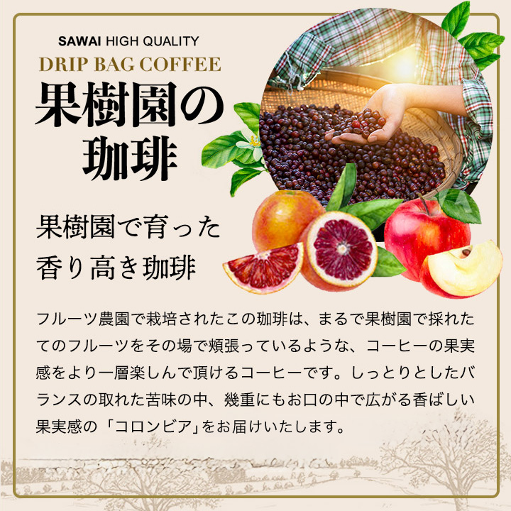 ドリップ コーヒー 50杯 50袋 ドリップ ...の詳細画像1