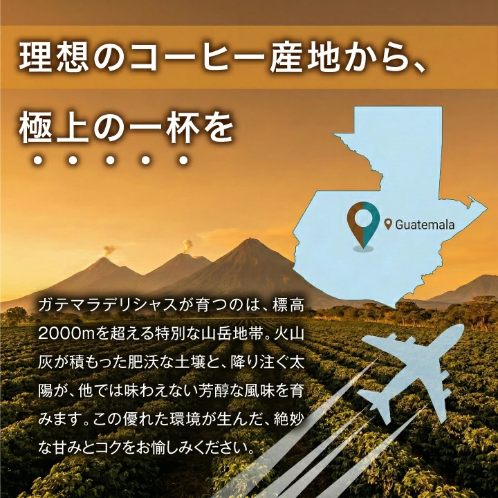 ガテマラデリシャス産地標高2000m火山灰土壌芳醇な風味