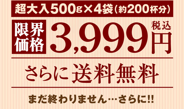 送料無料