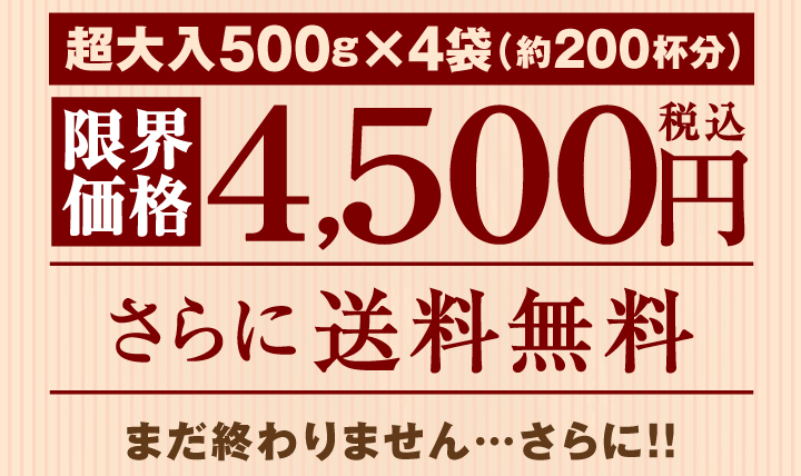 送料無料でさらにポイント10倍