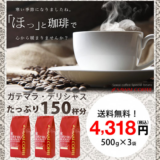 コーヒー 珈琲 福袋 コーヒー豆 珈琲豆 送料無料　超大入り150杯分 ガテマラコーヒー福袋 グルメ