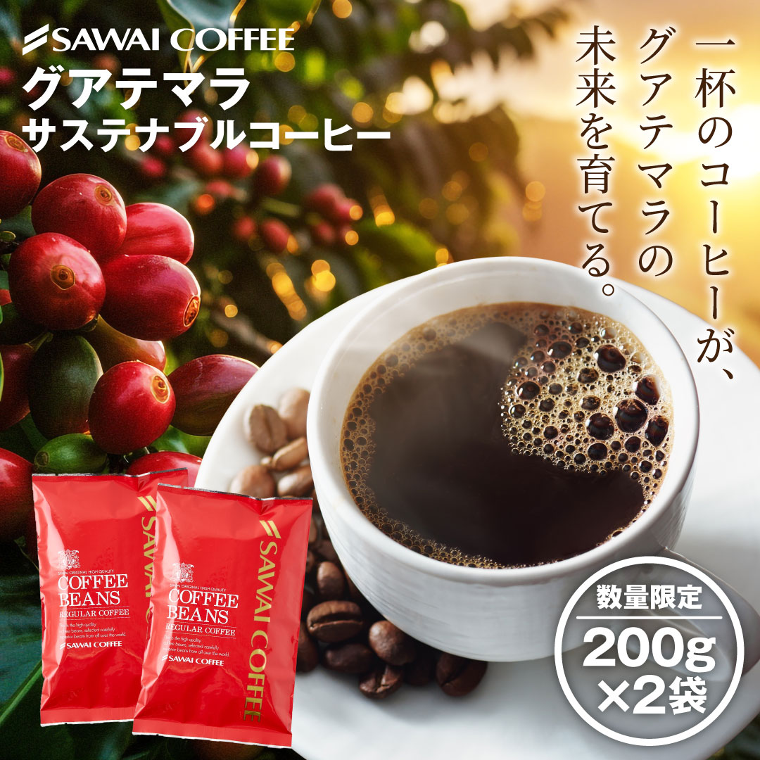 澤井珈琲 コーヒー 豆 粉 香り良くすっと飲める グアテマラ