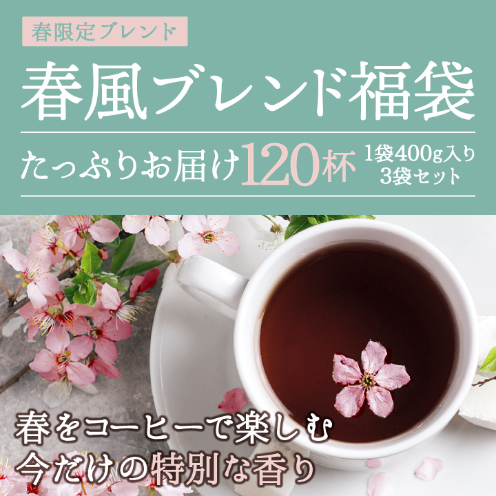 爆買 春限定 コーヒー 豆 粉 400g 3袋...の詳細画像2