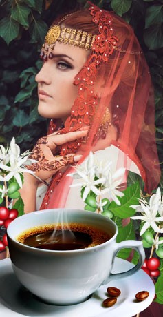 コーヒー