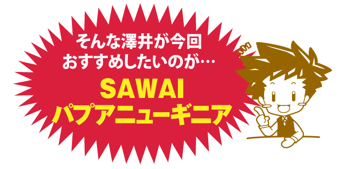 澤井珈琲が今回おすすめしたいのが…