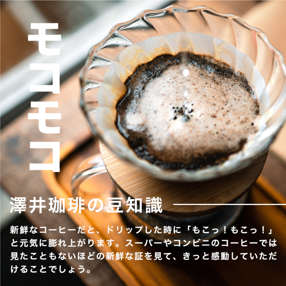 澤井珈琲 コーヒー 飲み比べ 2月のおすすめレギュラー福袋 3種 600g