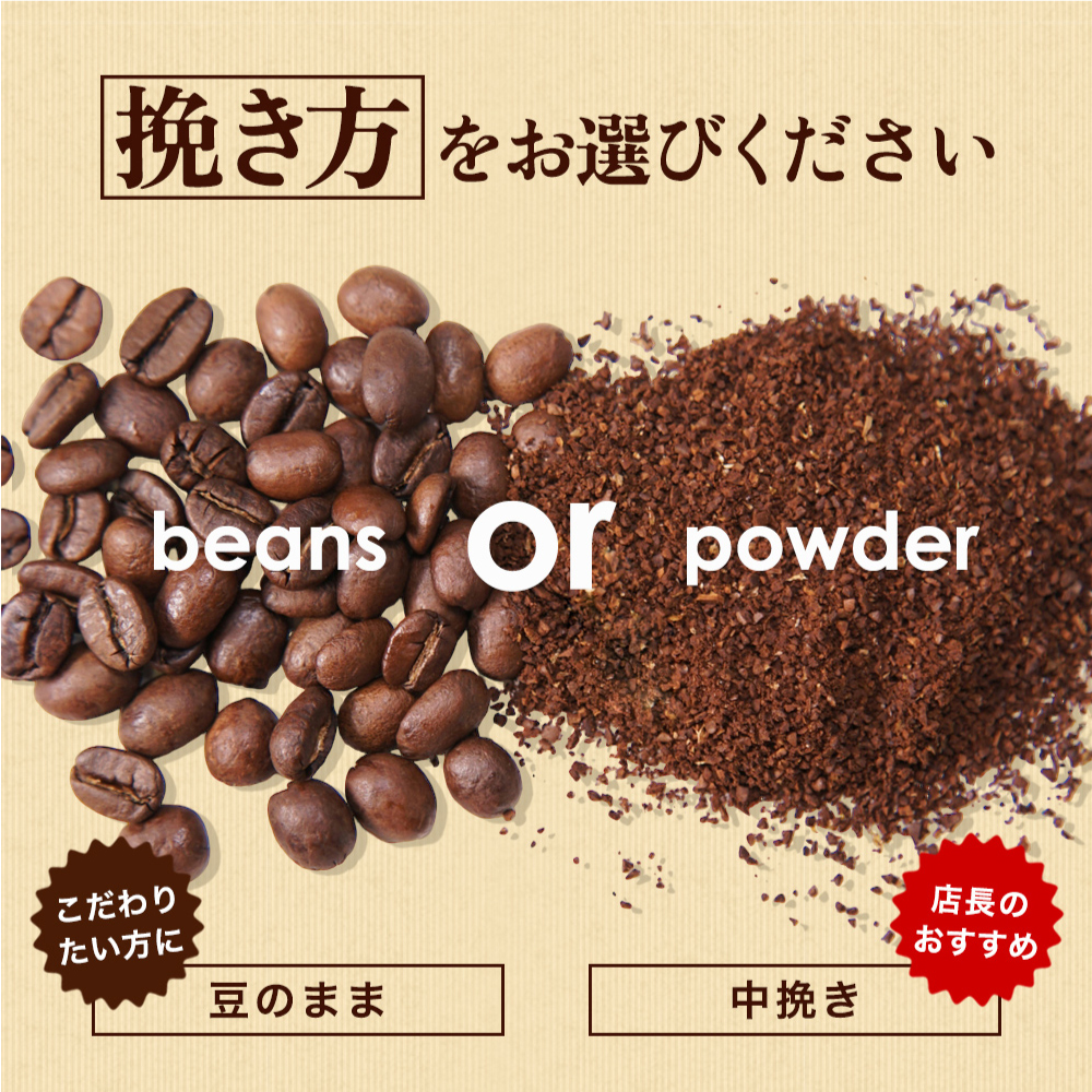 澤井珈琲 コーヒー 飲み比べ 5月のおすすめレギュラー福袋 3種 600g