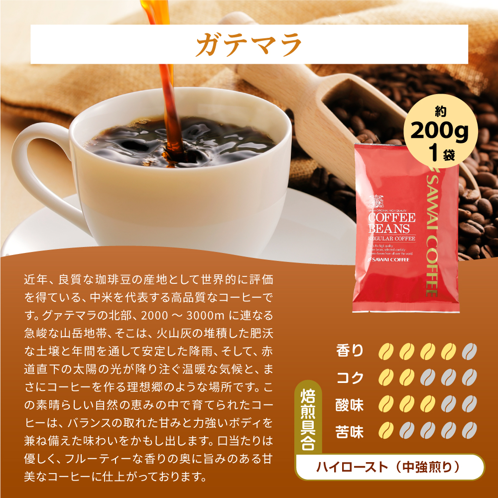 澤井珈琲 コーヒー 飲み比べ 3月のおすすめレギュラー福袋 3種 600g