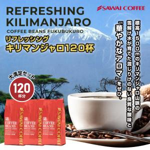 珈琲 福袋 コーヒー 豆 珈琲豆 コーヒー専門店の120杯分入りリフレッシング・キリマンジャロ福袋 グルメ 【RD】 【TS】