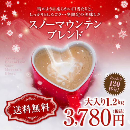 コーヒー 珈琲 福袋 コーヒー豆 珈琲豆  送料無料　120杯分入り　スノーマウンテンブレンド　コーヒー福袋 グルメ