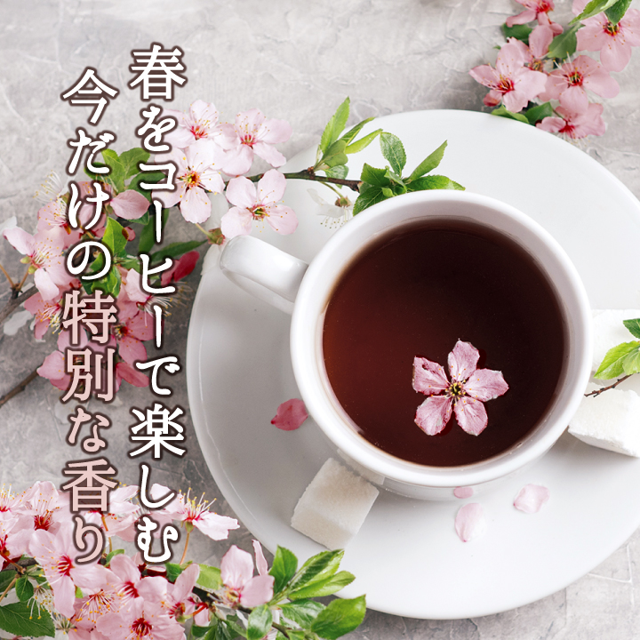 春限定 焙煎したて コーヒー 豆 粉 1.2k...の詳細画像5
