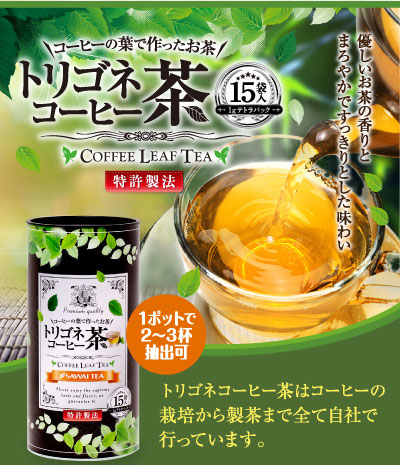 トリゴネコーヒー茶15袋