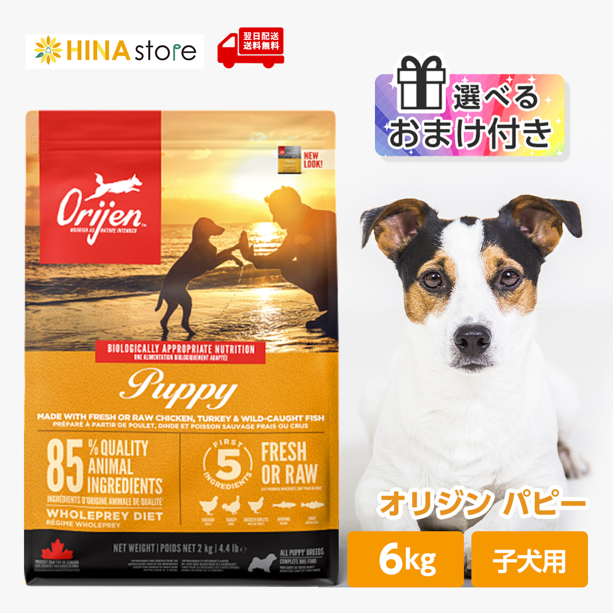 【特価セール】【正規品】カナダ産 オリジン パピー 6kg Orijen dog 0064992180607_y.jpg